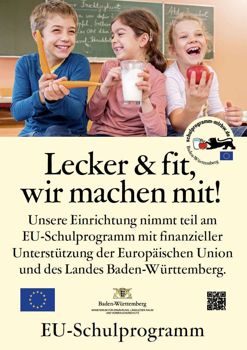 EU-Schulprogramm Flyer